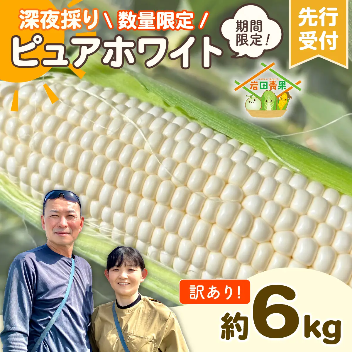 とうもろこし 訳あり ピュアホワイト 6kg 茨城県産 トウモロコシ 深夜採り 朝出荷