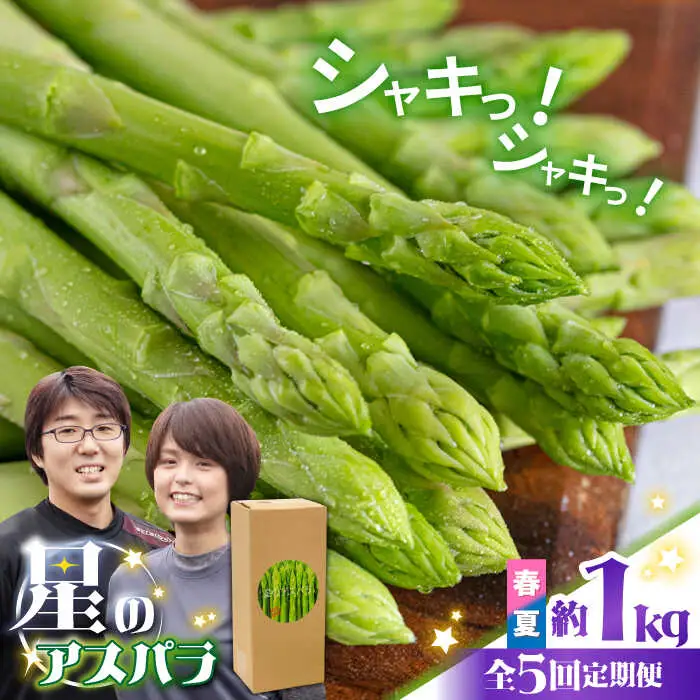 【5回定期便】【星のアスパラ】春＆夏 の グリーン アスパラガス 約1kg / アスパラ 春野菜 野菜 / 南島原市 / ほしのYA[SEY017]
