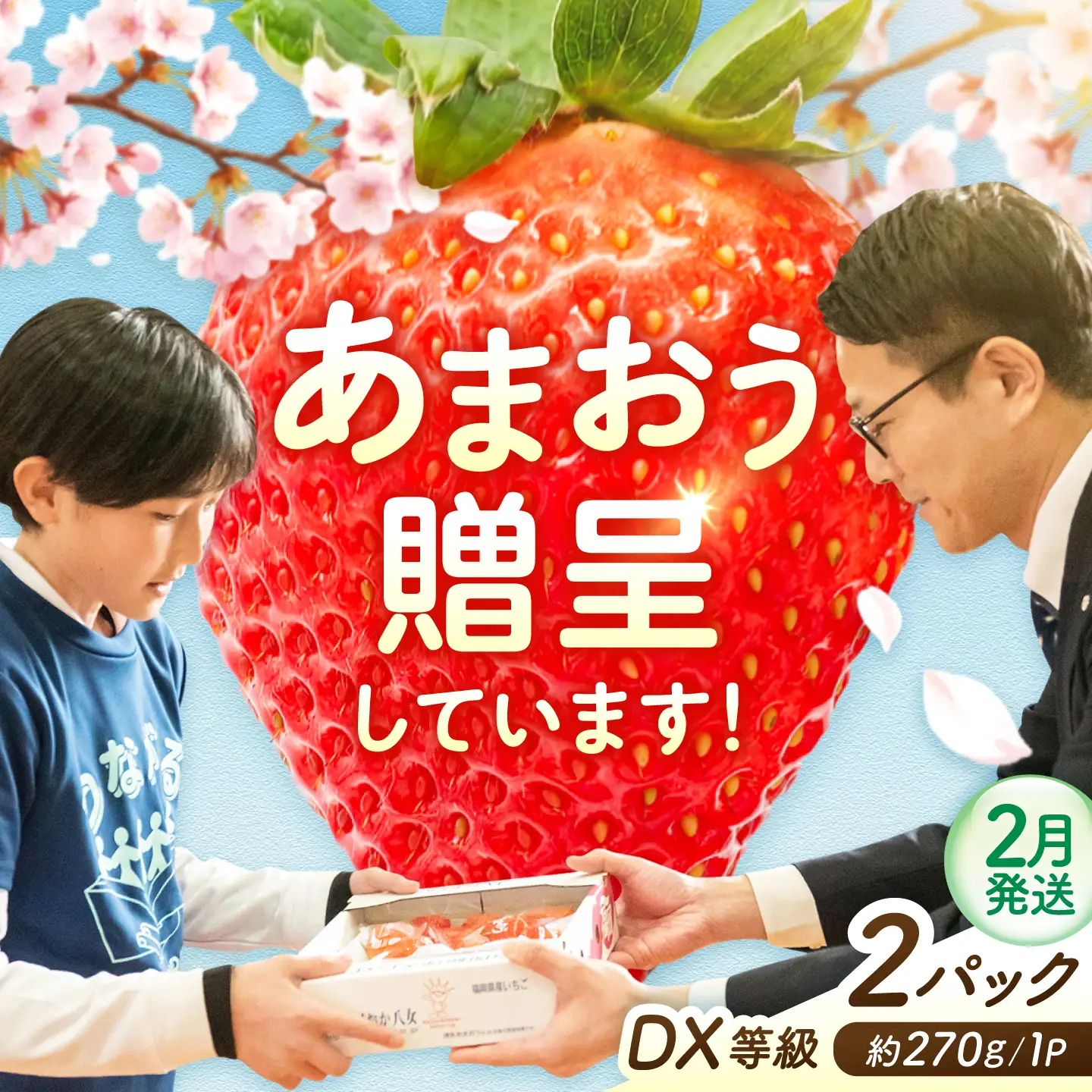 【2月発送】あまおうDX等級 1ケース（約270g×2パック） 広川町 / JAふくおか八女農産物直売所どろや[AFAB106]