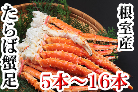 【北海道根室産】ボイルたらば蟹足5本～16本(計1～1.2kg) C-70077
