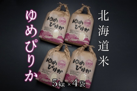 北海道米ゆめぴりか5kg×4袋 D-65006