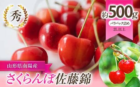 【令和9年産先行予約】 さくらんぼ 「佐藤錦」 約500g (秀 2L以上) バラパック詰め 《令和9年6月上旬～発送》 『生産者 佐藤 勇二』 サクランボ 果物 フルーツ 産地直送 [2234]