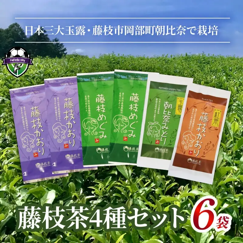 お茶  4種 6袋 セット 緑茶 煎茶 紅茶 玉露 茶 茶