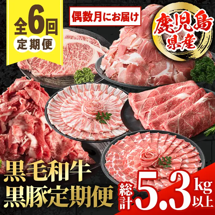 ＜定期便・計6回(偶数月)＞ 鹿児島県産 黒毛和牛 黒豚 定期便 総計 約5.3kg 以上 【スターゼン】 i1007