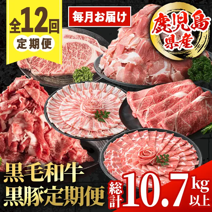 ＜定期便・計12回(連続)＞ 鹿児島県産 黒毛和牛 黒豚 定期便 総計 約10.7kg 以上 【スターゼン】 i1008