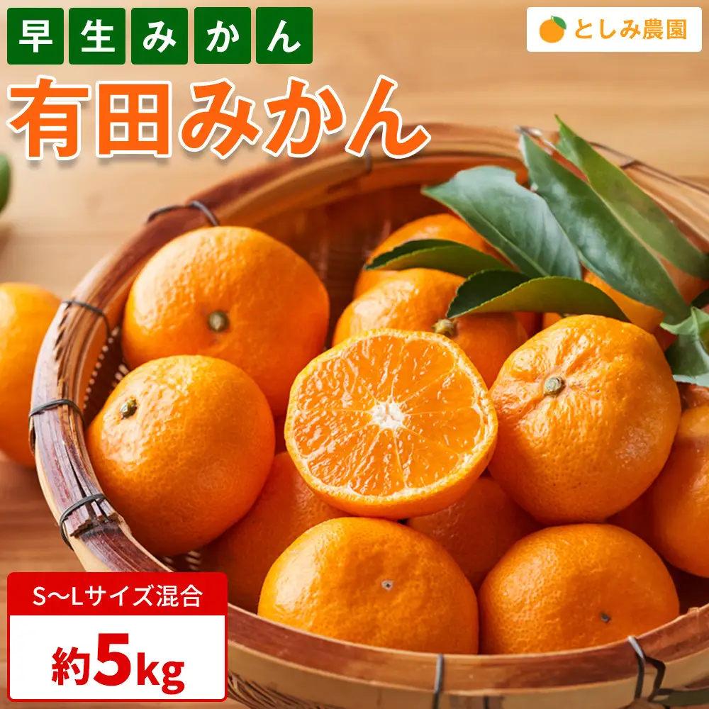 有田みかん 早生みかん 秀品または優品 約5kg S～Lサイズ混合 としみ農園
