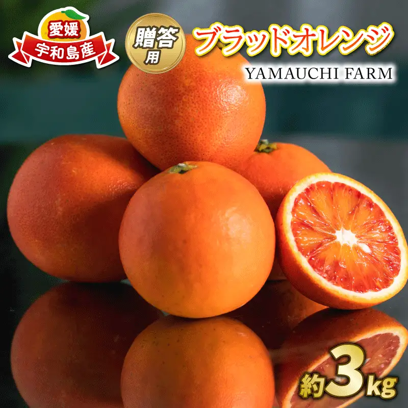 贈答用 ブラッド オレンジ モロ タロッコ 3kg YAMAUCHI FARM オレンジ B010-084004
