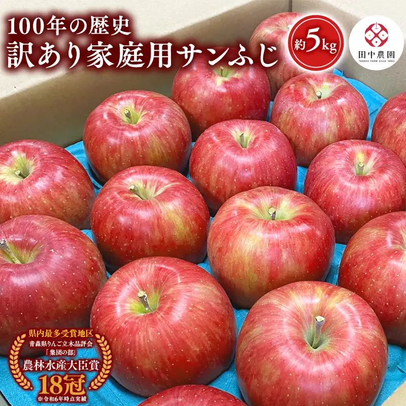 りんご 家庭用サンふじ 約5kg 青森県平川市産[hi-0039-007]