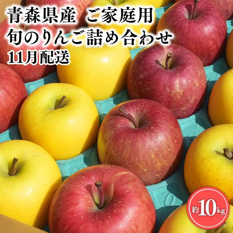 【訳あり】旬のりんご詰め合わせ10㎏ りんご