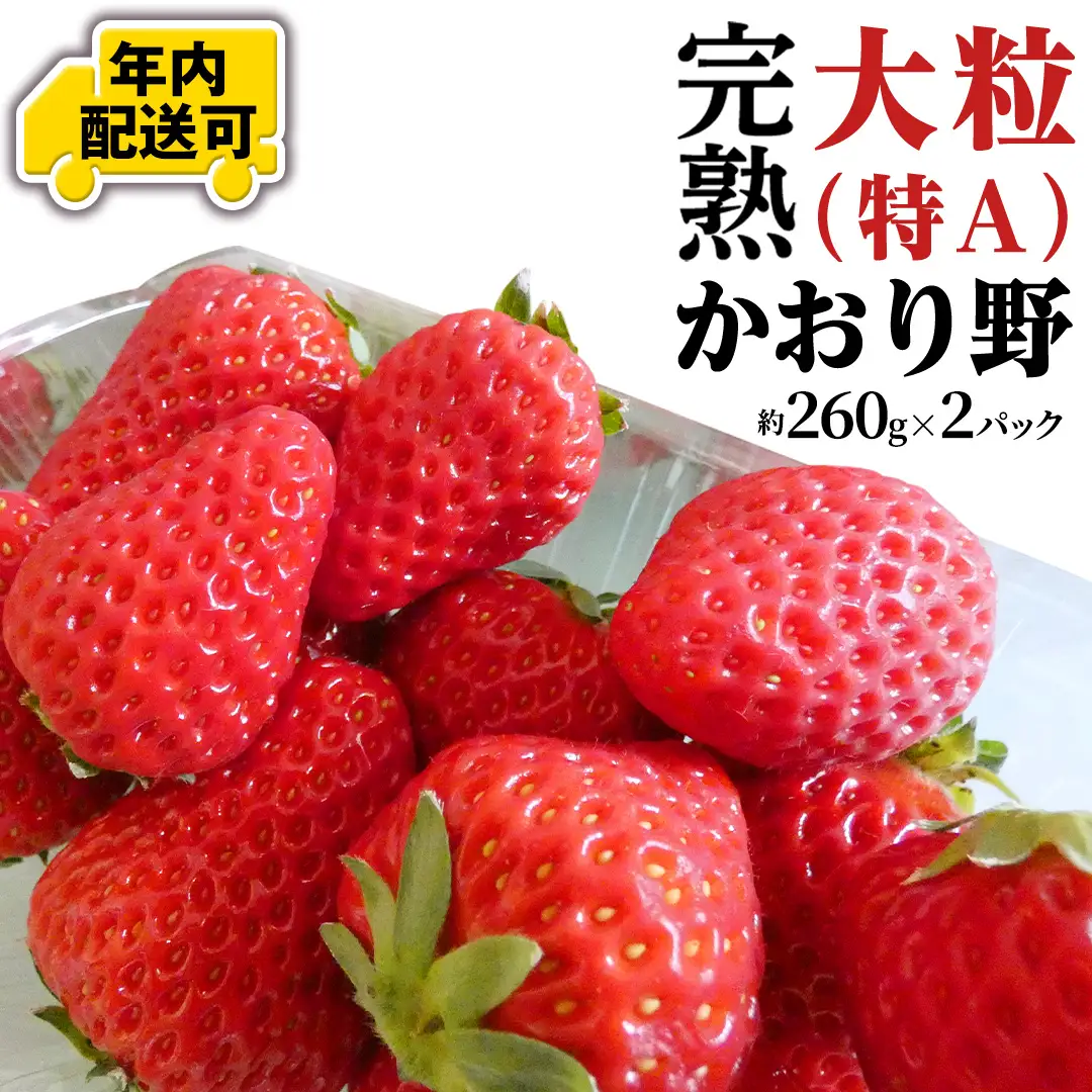 【12/10までの申込で年内にお届け！】 完熟 かおり野 約260g×2パック 年内お届け 国産 いちご イチゴ 苺 果物 フルーツ 茨城県産 KEK[BC081sa]