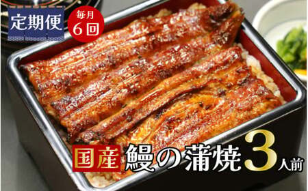 【定期便】全６回コース　蒲焼割烹うな繁　特選国産うなぎ蒲焼真空パック３人前