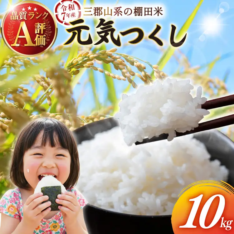 白米 精米 元気つくし 令和7年産 10kg