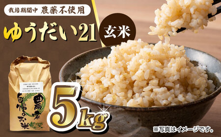 栽培期間中農薬不使用 令和7年産米 ゆうだい21 玄米 5kg/鶴ノ原北川農園[UDL024] 玄米