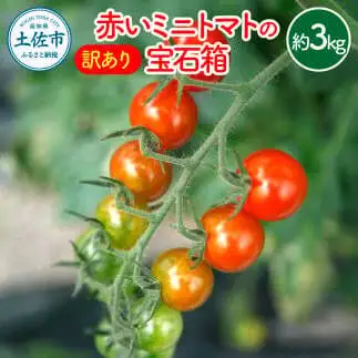 【訳あり】【先行予約】訳あり 赤いミニトマトの宝石箱 約3kg / たっぷり楽しむ食べ比べセット〈2026年11月下旬から2027年5月下旬まで〉高知県 土佐市【ファーム輝】 [BQBM011]
