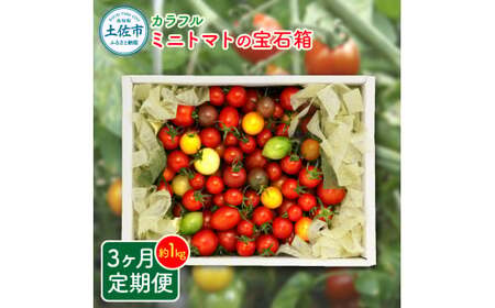 【先行予約】【全3回定期便】15品種7色の彩り/カラフルミニトマトの宝石箱約1kg×3回〈2026年12月から配送開始〉高知県 土佐市【ファーム輝】 [BQBM008]