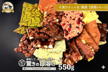 山盛りChocolateBrothers GoGO!パック 550g【欲張りチュル太(弟)】