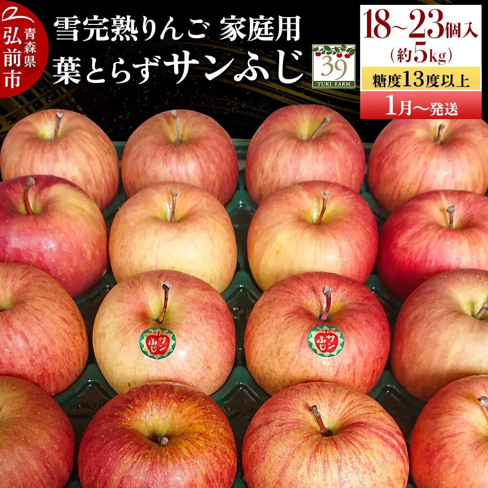 りんご 葉とらずサンふじ【家庭用】約5kg（18～23個程度）先行受付