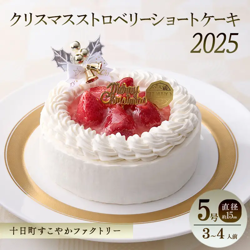 【TOIRO】クリスマス　スノーホワイトケーキ（5号・直径約15cm）｜十日町すこやかファクトリー