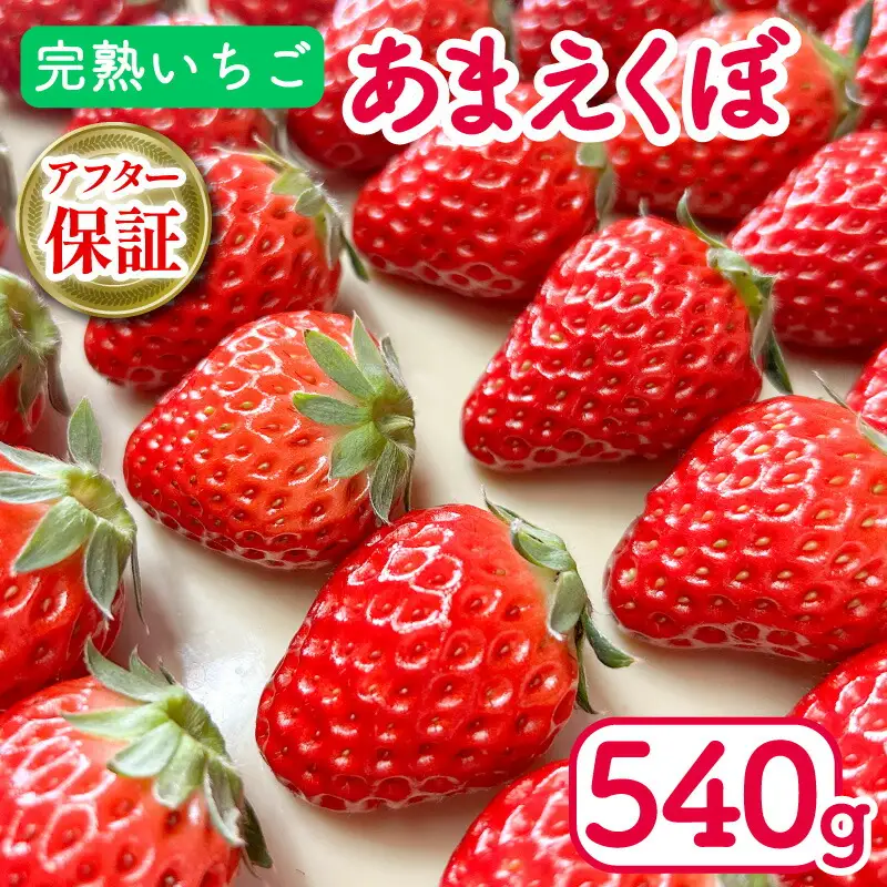 あまえくぼ 540g 苺 いちご イチゴ