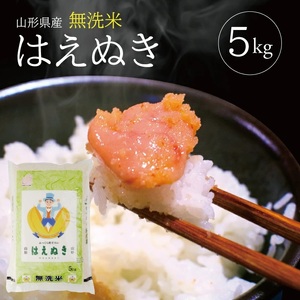SA2966　令和7年産【無洗米】はえぬき　5kg×1袋 TO