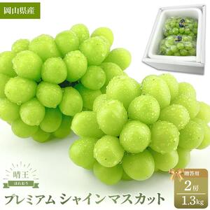 プレミアム シャインマスカット 晴王 2房 約1.3kg ｜ シャインマスカット