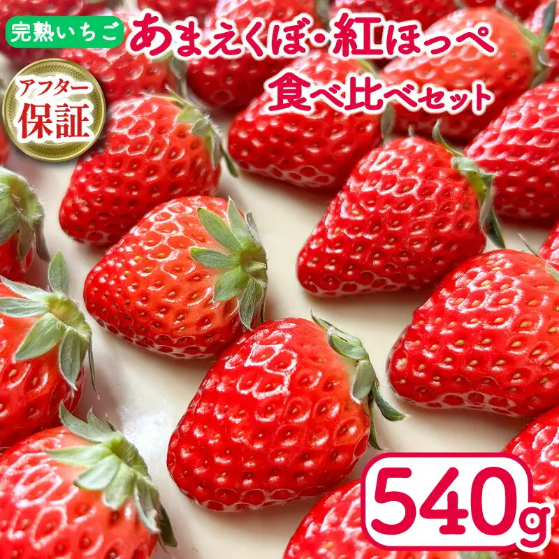 いちご 紅ほっぺ あまえくぼ 食べ比べ 270g×2パック 苺 いちご