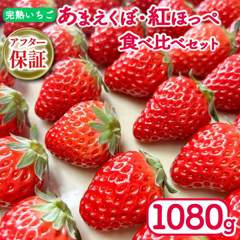 【 いちご 】 いちご 270g×4パック 紅ほっぺ あまえくぼ 食べ比べ