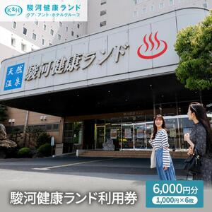 駿河健康ランド　利用券(6,000円分)◆
