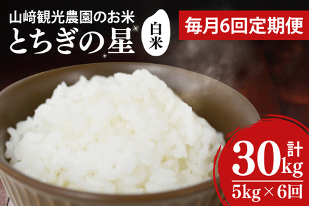 ＼先行予約／【全6回定期便】＜毎月＞山﨑観光農園のお米　とちぎの星　白米5kg （AU036）