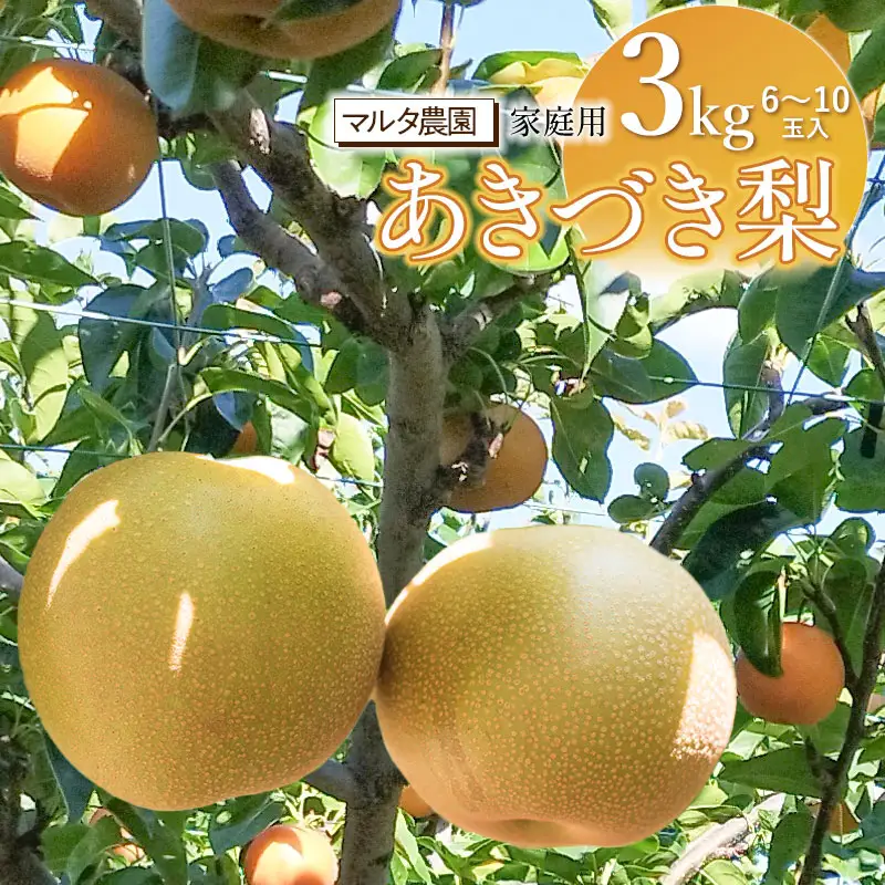 【令和8年産先行予約】家庭用　和梨 あきづき 3kg（6～10玉）　マルタ農園