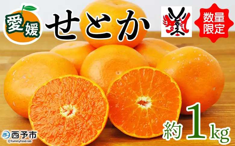 先行予約 数量限定＜愛媛西予市産 せとか 約1kg＞ 果物 くだもの フルーツ 柑橘類 ミカン みかん 甘い 特産品 糖度 家庭用 自宅用 産地直送 渡江から一歩を踏み出す会 食べて応援 愛媛県 西予市 【常温】『2026年3月上旬～4月中旬順次発送予定』ATI0032