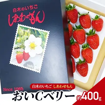 いちご 白木のいちご しあわせもん おいCベリー いちご【1箱 化粧箱】