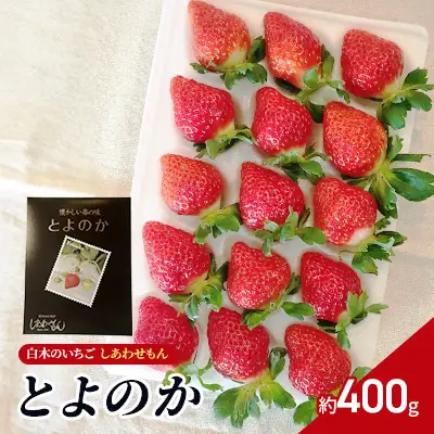 いちご 白木のいちご しあわせもん とよのか いちご【1箱 化粧箱】