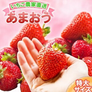いちご いちご職人直送 白木のいちご 特選 あまおう (特大サイズ) 8粒 イチゴ 苺 果物 デザート ※配送不可：沖縄・離島