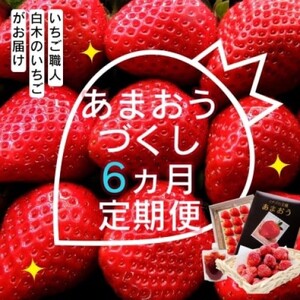 あまおう 白木のいちご あまおうづくし あまおう【定期便6ヶ月6回】