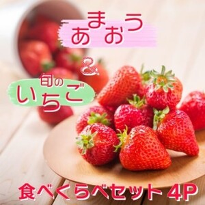 いちご食べ比べセット 白木のいちご あまおう いちご食べ比べセット【各2P】