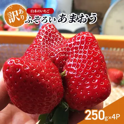 あまおう 白木のいちご ふぞろい あまおう【250g×4P】【訳あり】