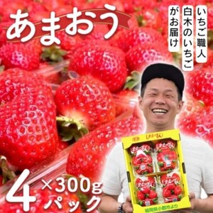 あまおう 白木のいちご あまおう【300g×4パック(M〜3L)】