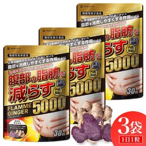 ブラックジンジャー サプリメント フラムジンジャー 機能性表示食品 3袋セット◇