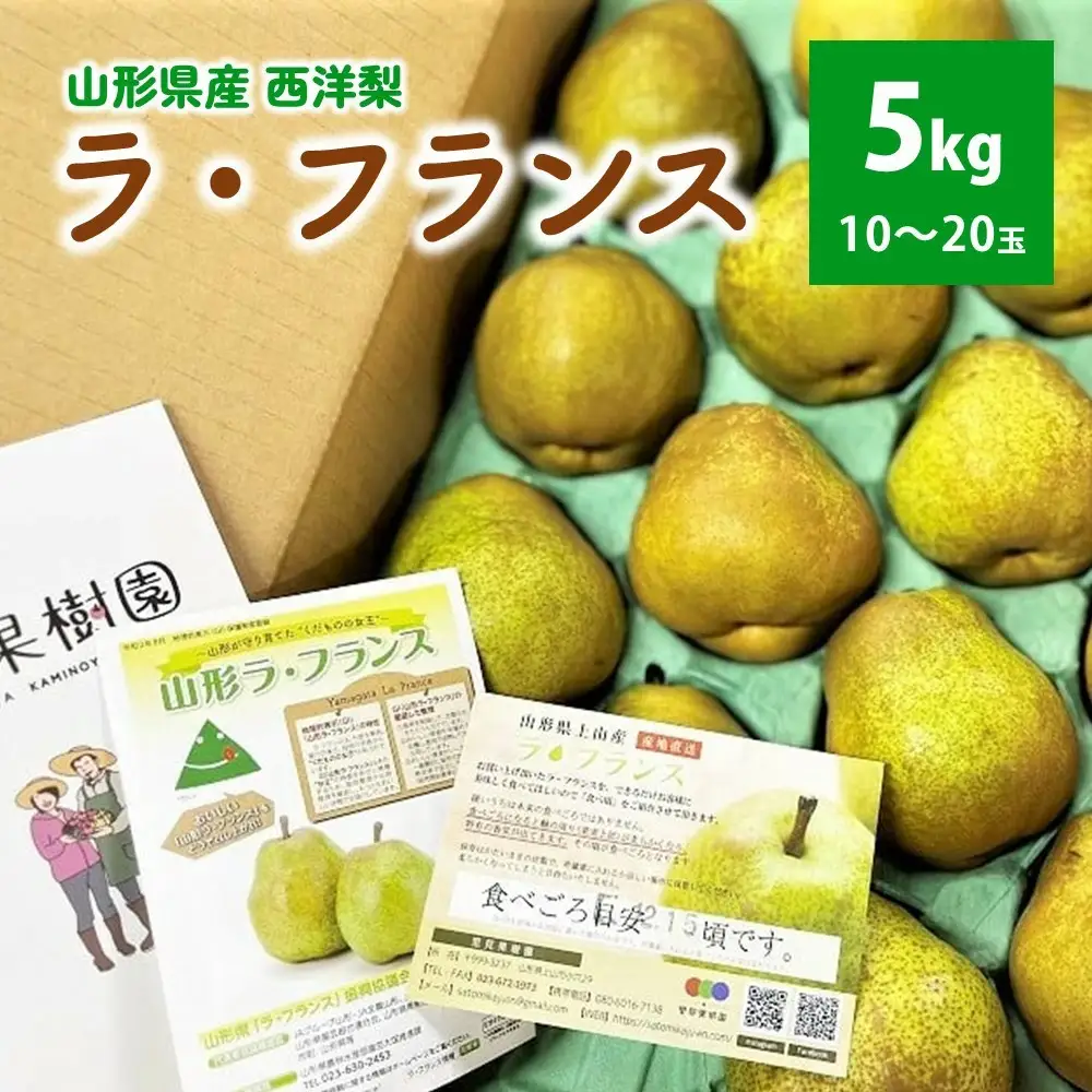 西洋梨（ラ・フランス）５ｋｇ　１０～２０玉　ご家庭用　0079-2617