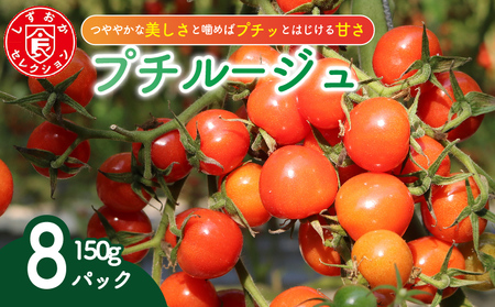 ミニトマト プチルージュ 約1.2kg トマト 7,110円