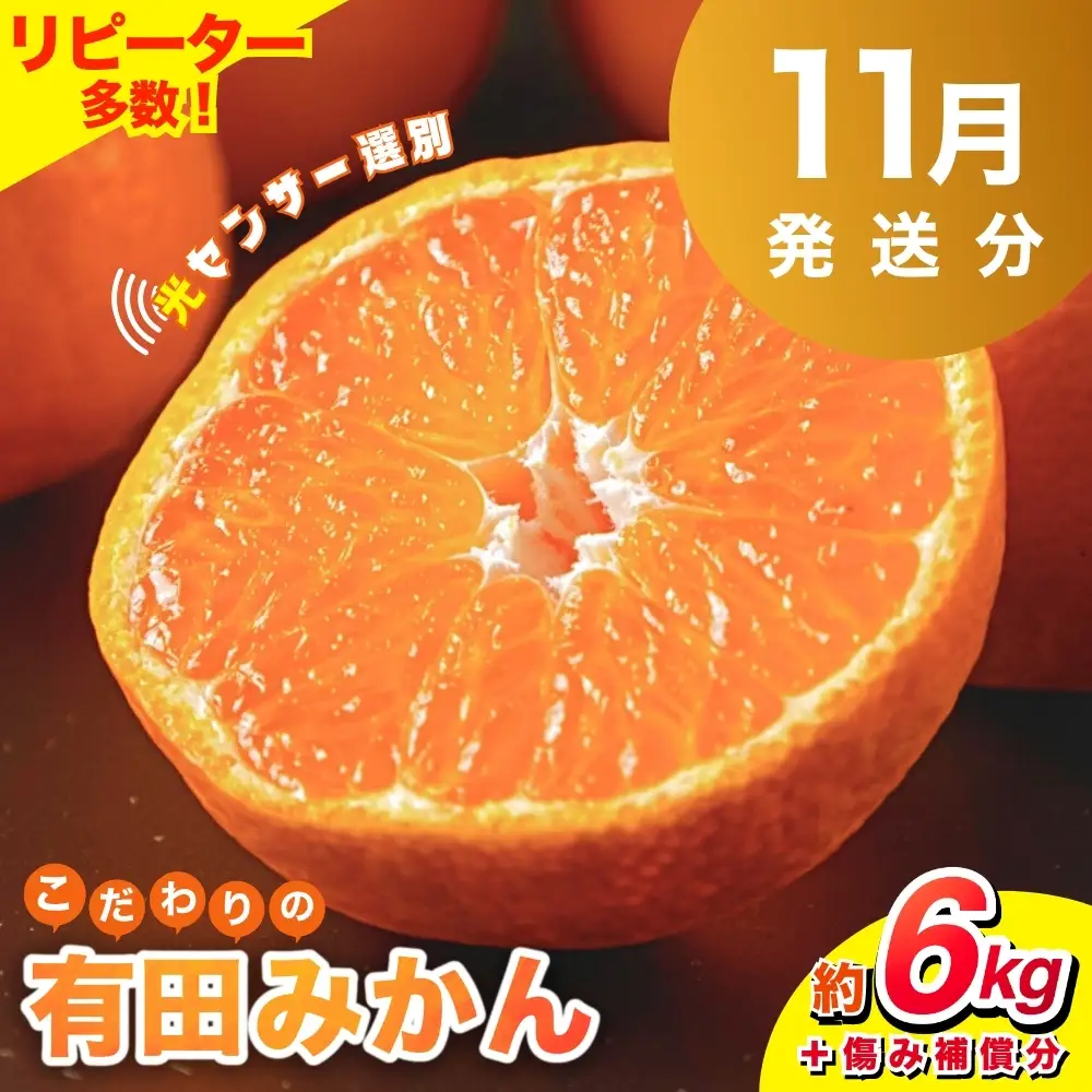 【2026年11月発送予約分】＼光センサー選別／ 【農家直送】【家庭用】こだわりの有田みかん 約6kg＋250g(傷み補償分) 先行予約 有機質肥料100% サイズ混合 【11月発送】みかん ミカン 有田みかん 温州みかん 柑橘 有田 和歌山 ※北海道・沖縄・離島配送不可 【nuk102-11B】