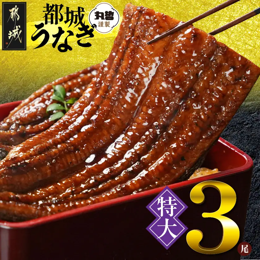 宮崎県育ちの【特大】うなぎ蒲焼3尾680g以上≪山椒・たれ付≫〔29-M301〕_(都城市)  特大うなぎ蒲焼(有頭) 宮崎県産 真空 山椒・たれ付