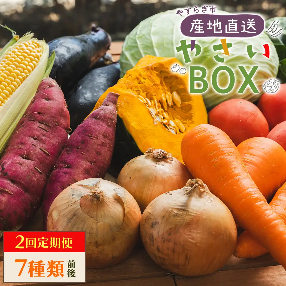 【2回定期便】産地直送 野菜 定期便 Wyr-0034