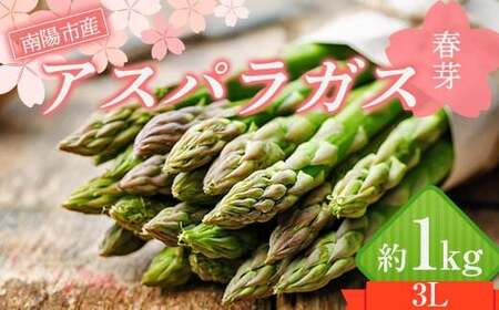 【令和9年産先行予約】 アスパラガス (春芽) 約1kg (3Lサイズ 約20～25本前後) 《令和9年4月下旬～発送》 『生産者 紺野 幸陽』 グリーン 農家直送 山形県 南陽市 [2243]