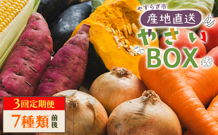 【3回定期便】野菜BOX 7種類前後【 野菜の定期便 野菜の定期便 野菜の定期便 】 Wyr-0035