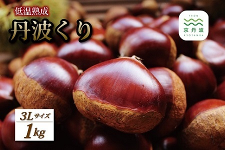 低温熟成 丹波くり 3Lサイズ 1kg （500g×2袋）/ 栗