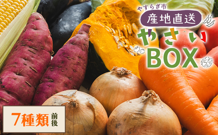 産地直送やさいＢＯＸ（7種類前後） 【野菜 旬 やさい やさい 野菜 デザート 野菜 高評価 野菜 人気 やさい おすすめ】 yr-0033