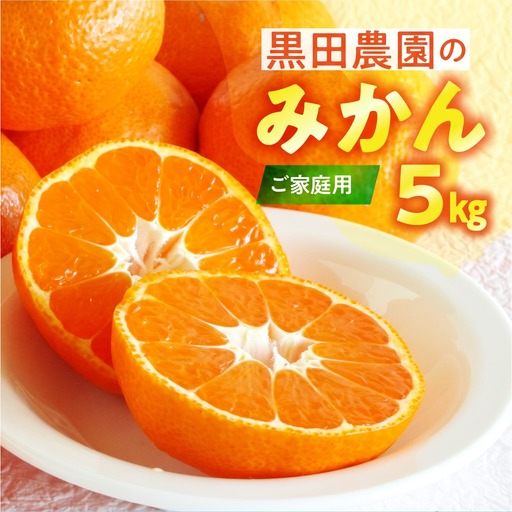 【12月お届け】渥美半島の伊良湖みかん 5kg 訳あり みかん