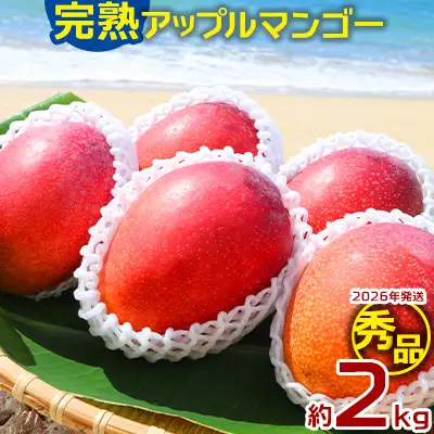 マンゴー【2026年発送】完熟アップルマンゴー秀品・約2kg